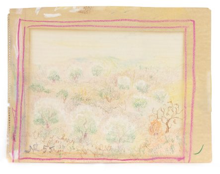 James N Rosenberg, Springtime Orchard, Crayon, 11 1/4 x 13 15/16 in. (28.6 x 35.4 cm), Gift of John Walker