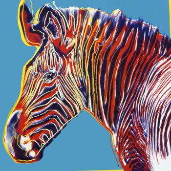 Andy Warhol, Grevy's Zebra, Bon á Tirer, Overall: 38 x 38 in. (96.5 x 96.5 cm), Courtesy of the Ronald Feldman Gallery, New York, New York