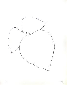 Ellsworth Kelly, Leaves, Lithograph, Overall: 38 x 30 3/4 x 1 1/2 in. (96.5 x 78.1 x 3.8 cm), Courtesy of the artist and the Foundation for Art and Preservation in Embassies