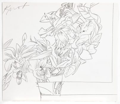 Knox Martin, Flower Drawing, Pencil drawing on paper, unframed: 12 1/2 × 14 1/2in. (31.8 × 36.8cm)
Overall: 19 3/8 × 21 3/8 × 1 1/2in. (49.2 × 54.3 × 3.8cm), Collection of Art in Embassies, Washington, D.C.; In memory of Dr. Viviane A. Ryan; © Knox Martin/Licensed by VAGA at Artists Rights Society (ARS), NY