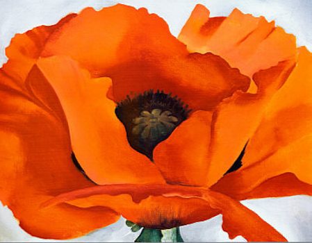 Georgia O'Keeffe, Red Poppy, Poster, 28 x 25 in. (71.1 x 63.5 cm), Collection of Art in Embassies, Washington, D.C.