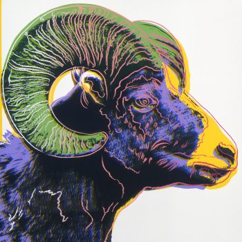 Andy Warhol, Bighorn Ram, Bon á Tirer, Overall: 38 x 38 in. (96.5 x 96.5 cm), Courtesy of the Ronald Feldman Gallery, New York, New York
