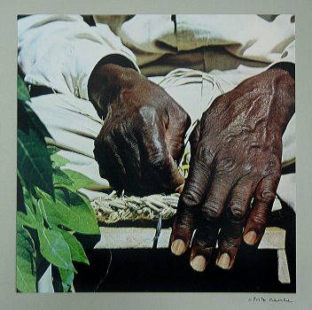 Fritz Henle, The Hands of Moses, St. Croix, U.S. Virgin Islands, Mounted color photograph, Overall: 17 1/4 x 17 1/4 x 1 1/2in. (43.8 x 43.8 x 3.8cm), Collection of Art in Embassies, Washington, D.C.; Courtesy of an anonymous gift