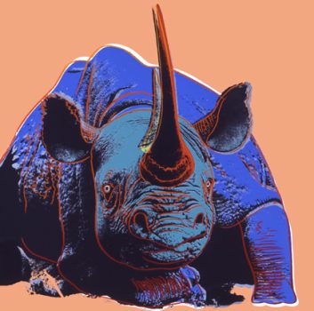 Andy Warhol, Black Rhinoceros, Bon á Tirer, Overall: 38 x 38 in. (96.5 x 96.5 cm), Courtesy of the Ronald Feldman Gallery, New York, New York