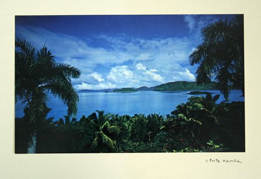 Fritz Henle, Cinnemon Bay, St. John, U.S. Virgin Islands, Mounted color photograph, Overall: 13 x 17 1/4 x 1 1/2in. (33 x 43.8 x 3.8cm), Collection of Art in Embassies, Washington, D.C.; Courtesy of an anonymous gift