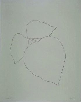 Ellsworth Kelly, Leaves, Transfer lithograph, Overall: 36 1/2 x 29 1/2in. (92.7 x 74.9cm), Gift of the artist, Gemini G.E.L., and the Foundation for Art and Preservation in Embassies