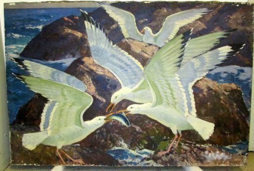 Gifford Beal, Four Seagulls on the Rocks Eating Fish, oil on canvas, Overall: 36 x 54in. (91.4 x 137.2cm), Collection of Art in Embassies, Washington, D.C.; Gift of the Estate of Gifford Beal, Courtesy of Kraushaar Galleries, New York, New York